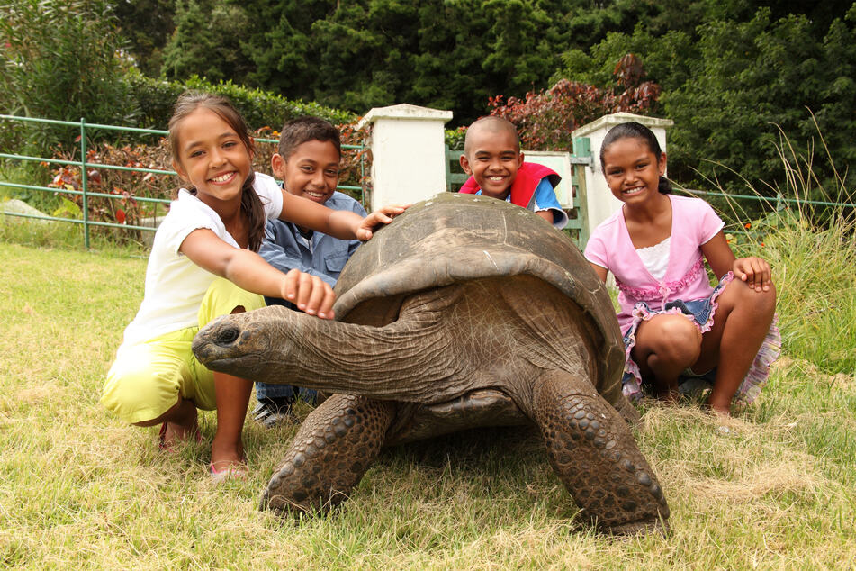 Jonathan is incredibly popular on his home island of St. Helena.
