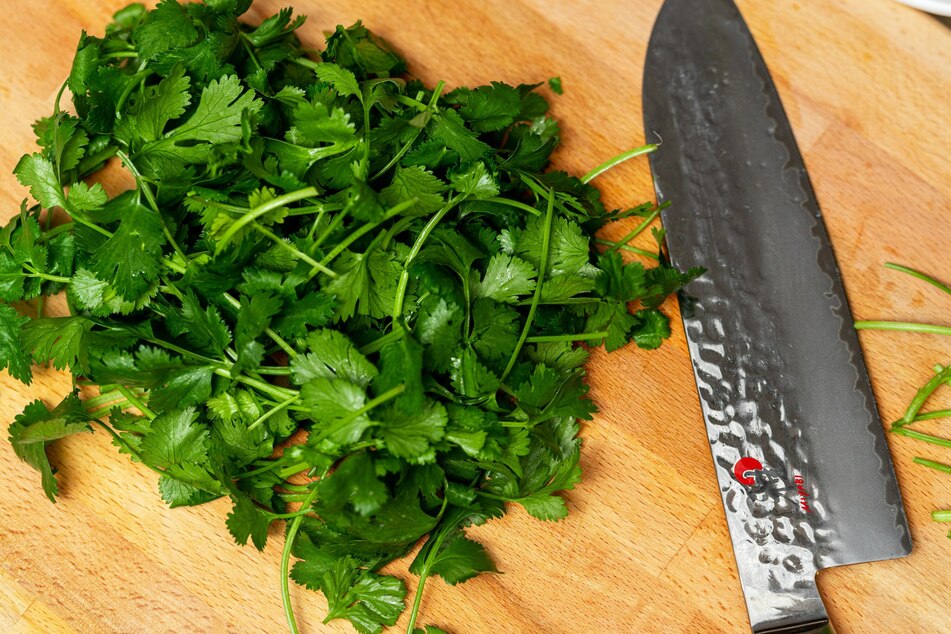 Mixing finely chopped fresh herbs like parsley, peppermint, and basil in dog food helps to fight bad breath.