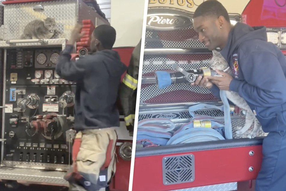 Peanut the cat trains to be a firefighter with her owner in adorable viral videos