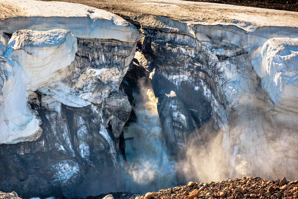 The new study covered a time span of over 66 million years.