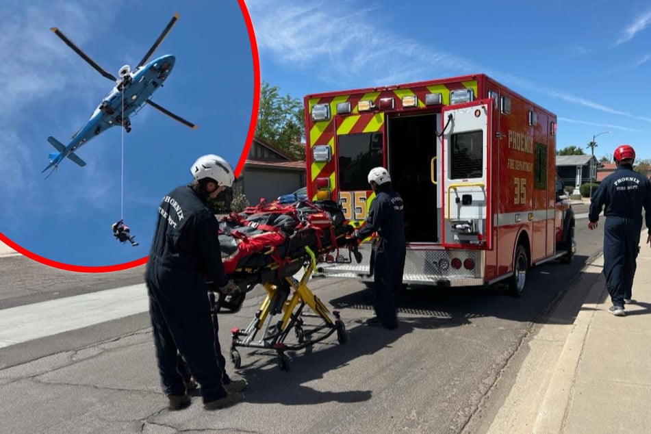 Mountain hike ends in bee nightmare as Arizona man fights for his life: "Over 100 stings"