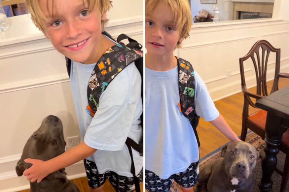 Reese is thrilled that Clark now belongs to his family. The video documenting the heartwarming story has since gone viral.