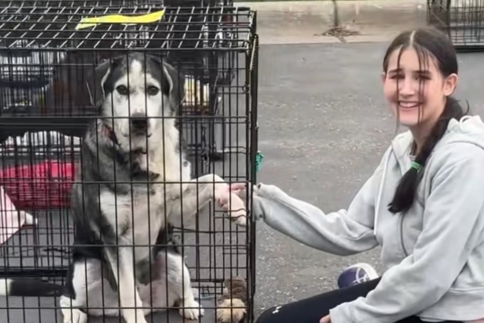 Dog that is not used to children has heart-melting reaction to new family: "He was meant to be with kids"