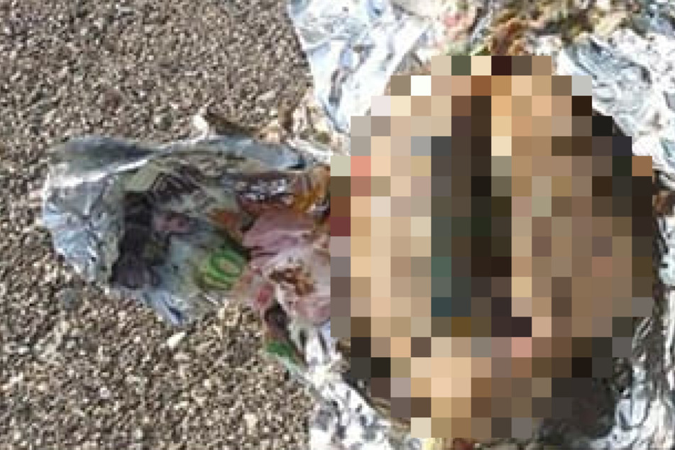 Is that human? Man makes disturbing discovery on the beach