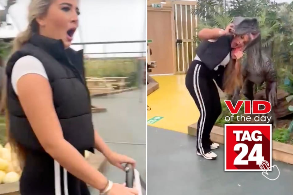 Viral Video of the Day for November 29, 2024: Woman gets head stuck in animatronic dinosaur at pumpkin patch!