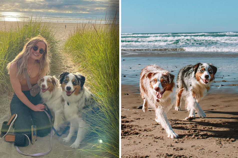 Doggy duo delights with surprising sprint on TikTok