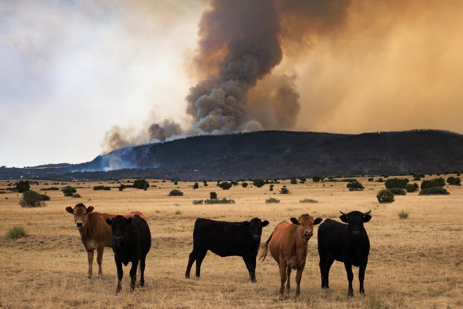 The National Academies of Sciences, Engineering, and Medicine will release a major report on the link between climate change and extreme weather.