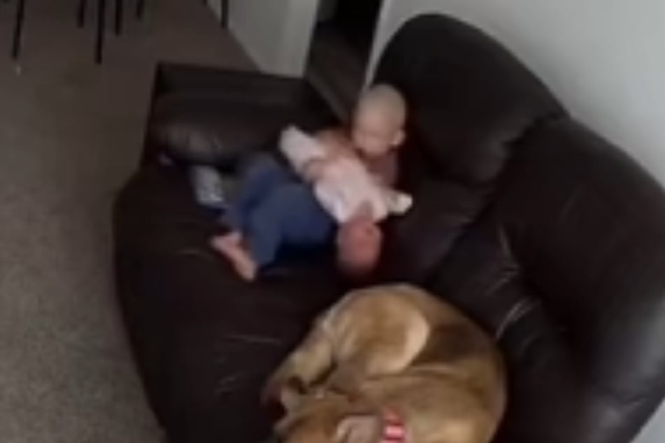This two-year-old was trying to take care of his little sis, but what he didn't do was support her head. 