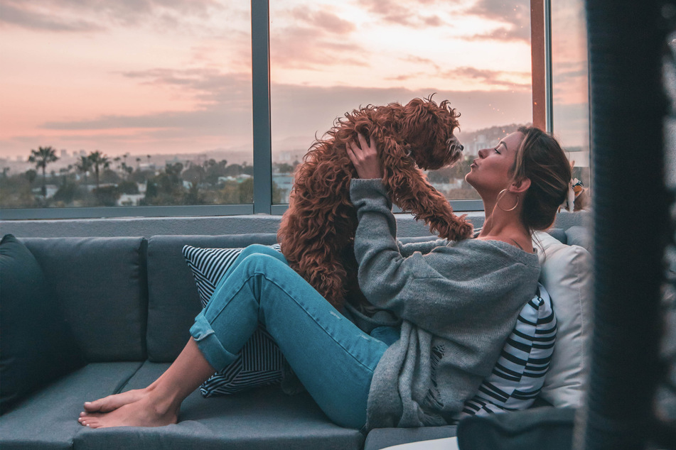 Showing your affection fills both you and your dog with joy, but why?