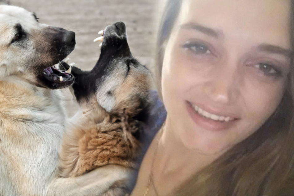 Alabama mother mauled to death by roaming pack of dogs