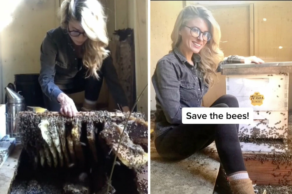 The bees are relocated step by step. Erika's message is clear: save the bees!
