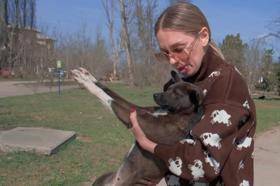 Olena carried the injured dog to her car and has done all she can to help the animal heal.
