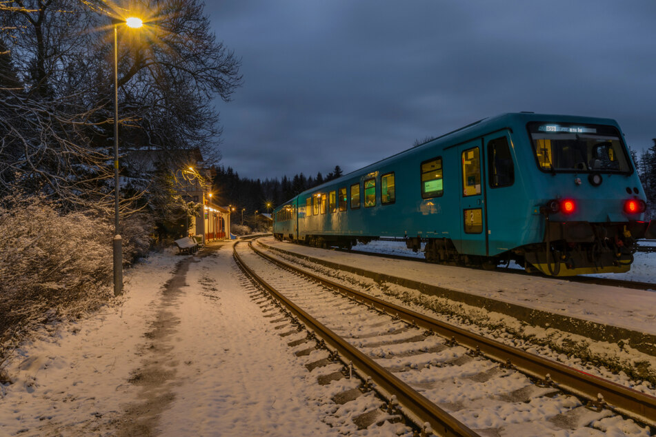 A dog escaped, ran to the train station, and hopped on a train all by herself (stock image).