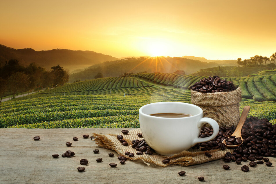Can coffee make you live longer? Busting the myths on the cup of joe
