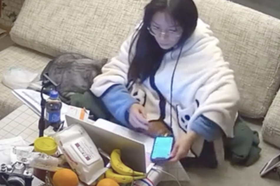 Hilarious video proves cats don't make the best home office coworkers