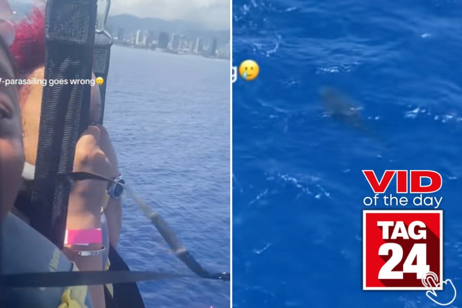 Three girls went parasailing and spotted a huge whale shark right beneath their feet!