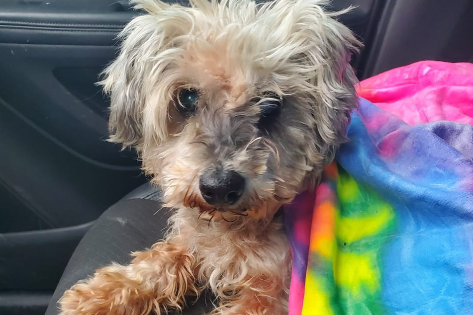 Maddie just disappeared, she was missing for three whole years.