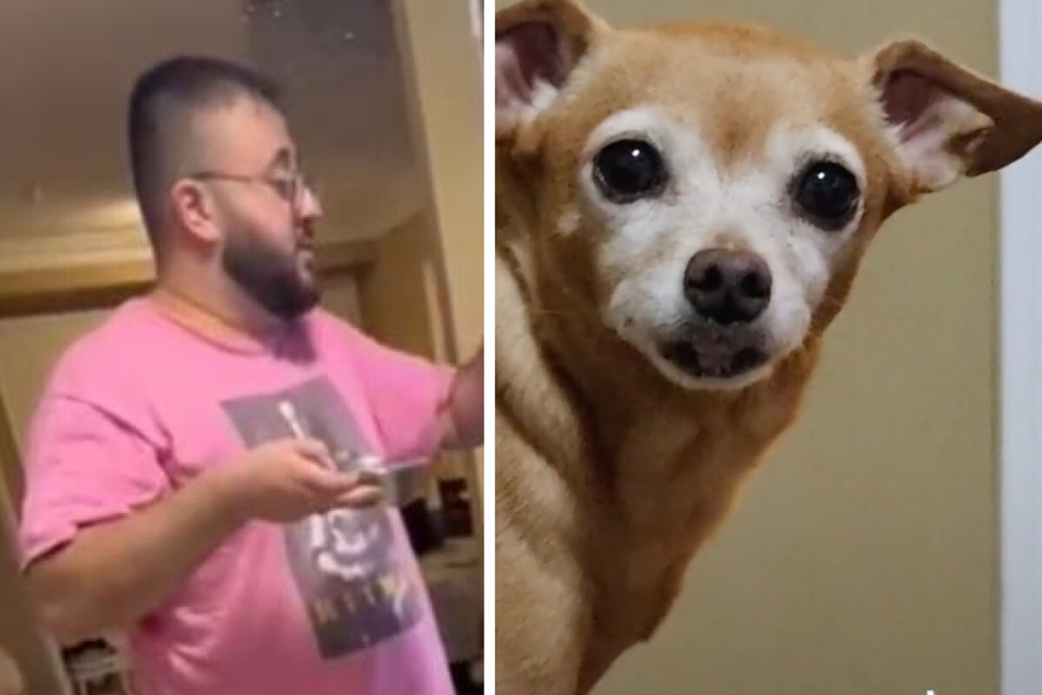 Dodgy doggy dinner routine plays a trick on TikTok too!