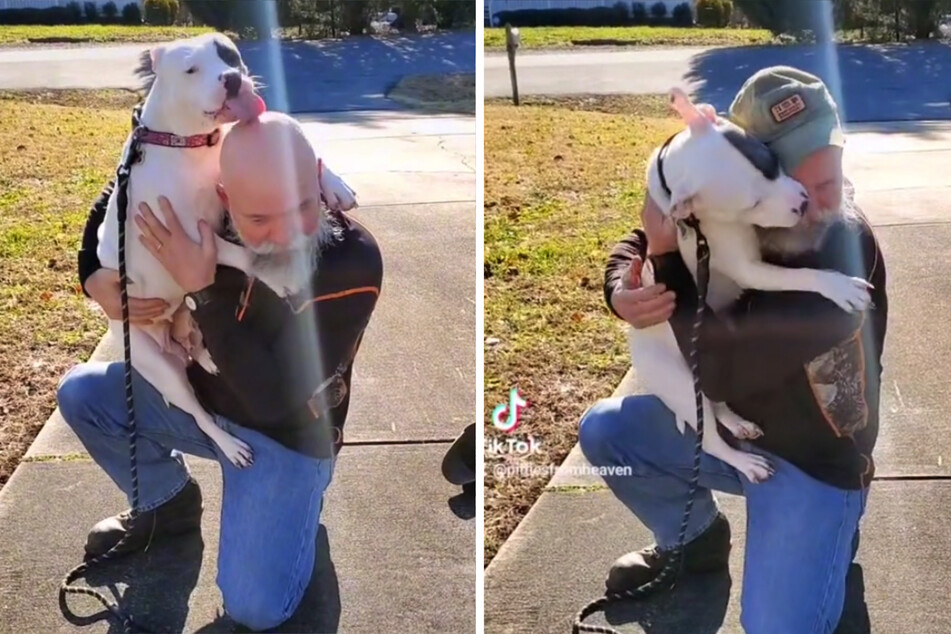 Love at first sight: Dog kisses her way into her new owners' hearts in amazing video