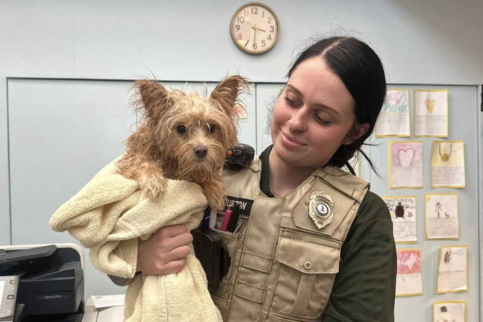 The little fur baby is now in good hands.