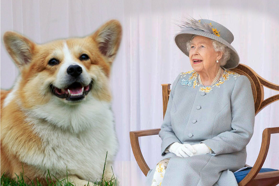 Queen Elizabeth II got a new four-legged friend for her birthday!