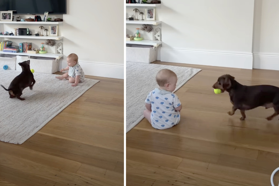 What could be cuter than a baby and a dog playing together? These two are in for a lifetime of adventures, and this is just the beginning...