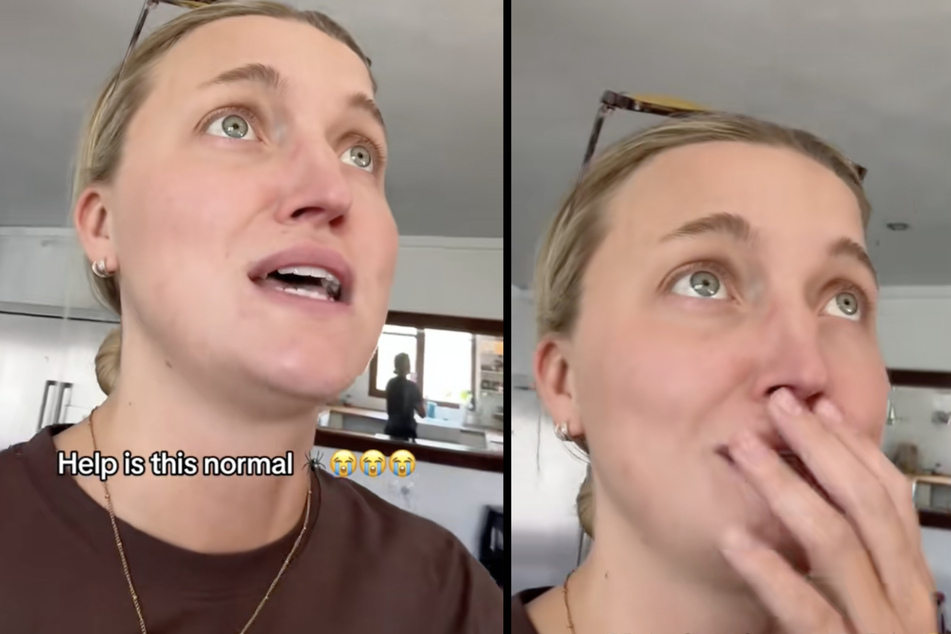 Couple returns from vacation to discover horrifying spider invasion!