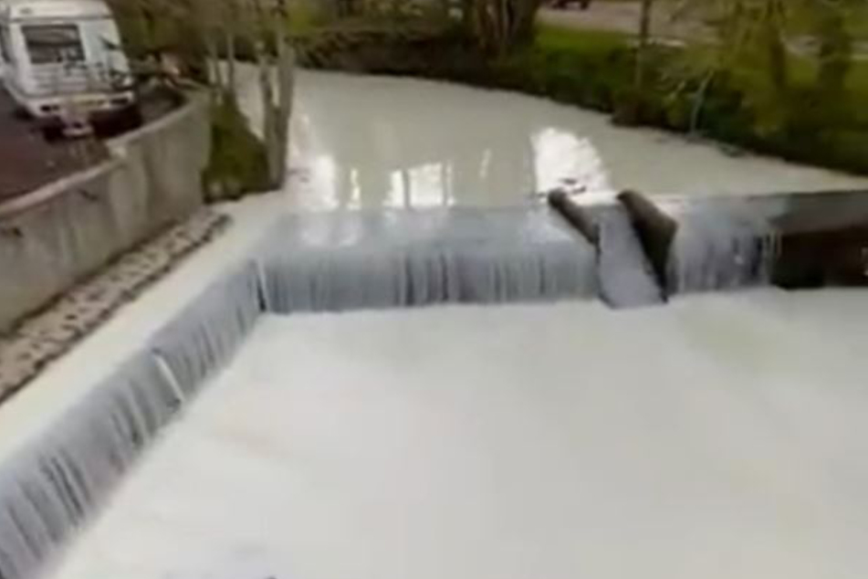 Crying over spilled milk: Incredible video shows aftermath of an unusual accident