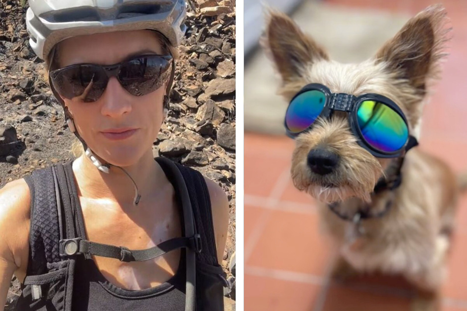 Dog hitches a ride in TikTok biking adventure