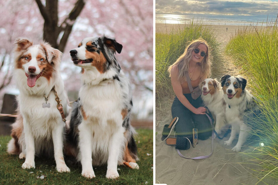 Maggie said it was important to be able to trust the boarding facility she chose for her dogs.