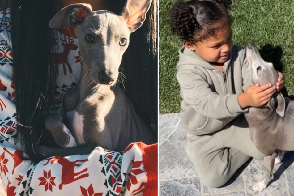 Kylie Jenner ended the post by expressing gratitude that her kids got the opportunity to know and love the doggo as well.