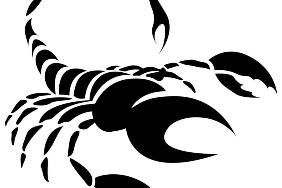 Free Scorpio monthly horoscope for November 2024