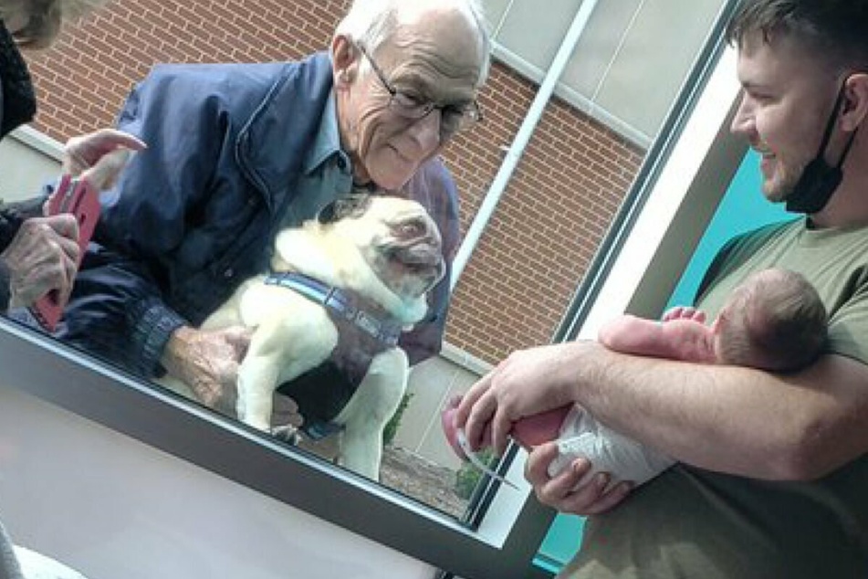 Dog meets owner's baby for the first time: his reaction lights up the internet