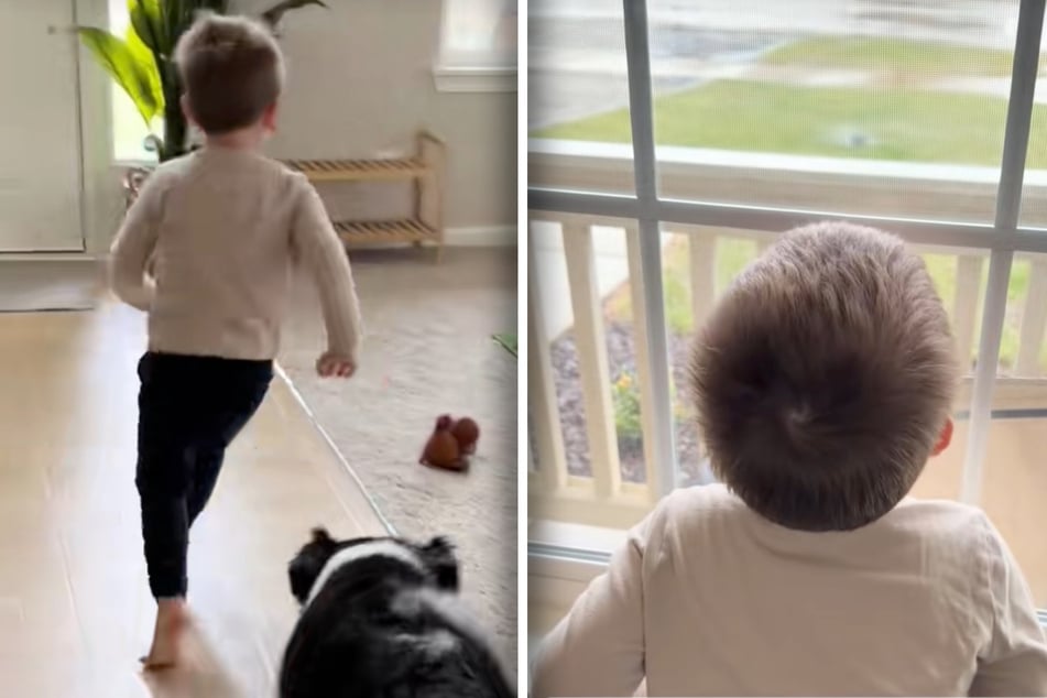 Toddler develops heartbreaking love of rainbows after dog's death
