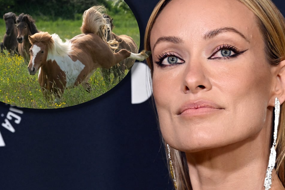  Olivia Wilde details near-tragedy on set: “He was protecting my body on the ground”