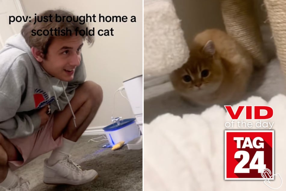After getting a new cat, Cristina's boyfriend debuted a Scottish alter ego that has viewers in stitches.