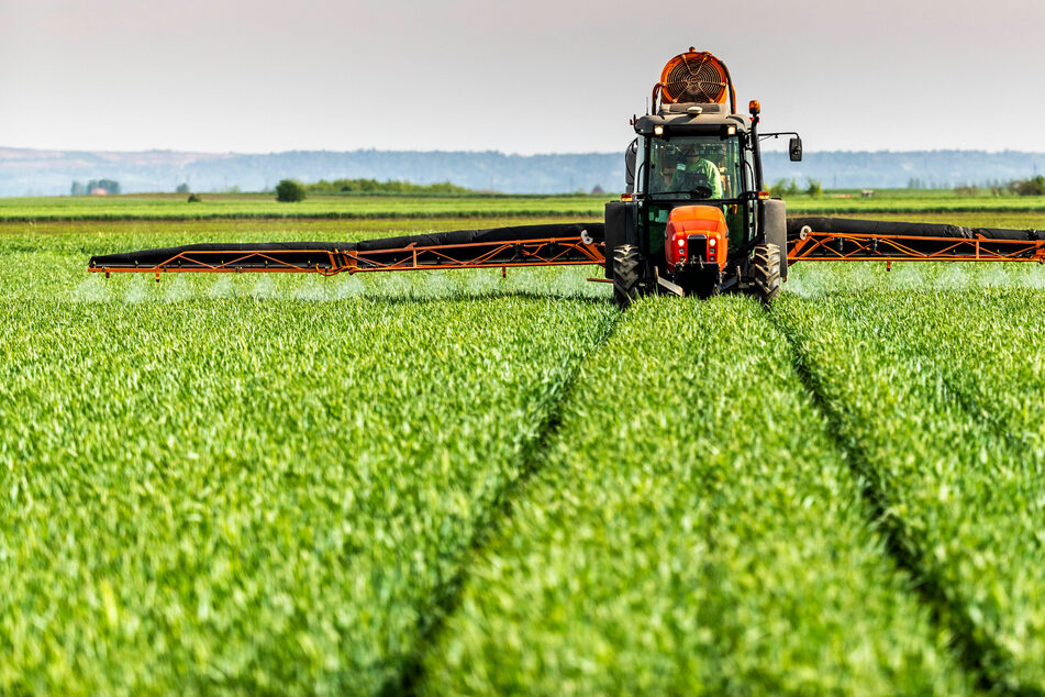 Green fertilizer: Helping grow the next piece of the renewable energy puzzle