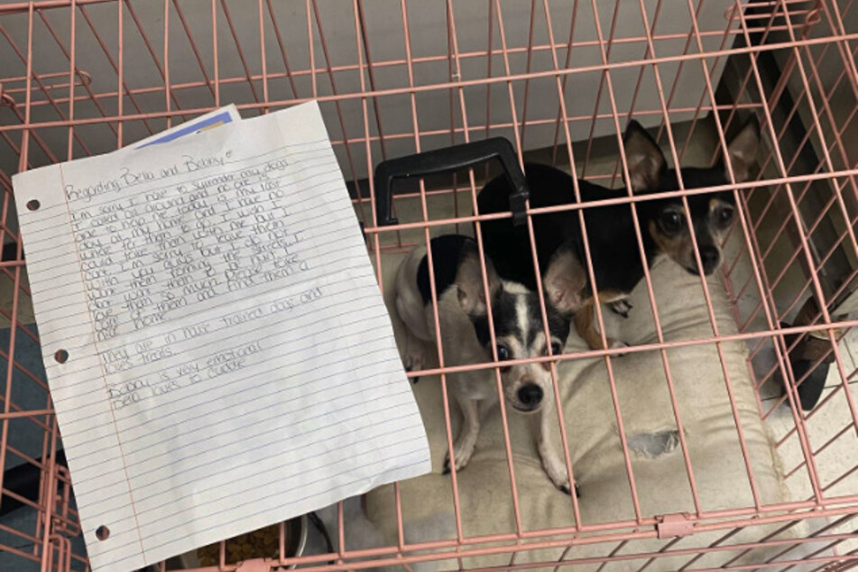 These two dogs were discovered outside an animal shelter in Philadelphia along with a heart-wrenching note.