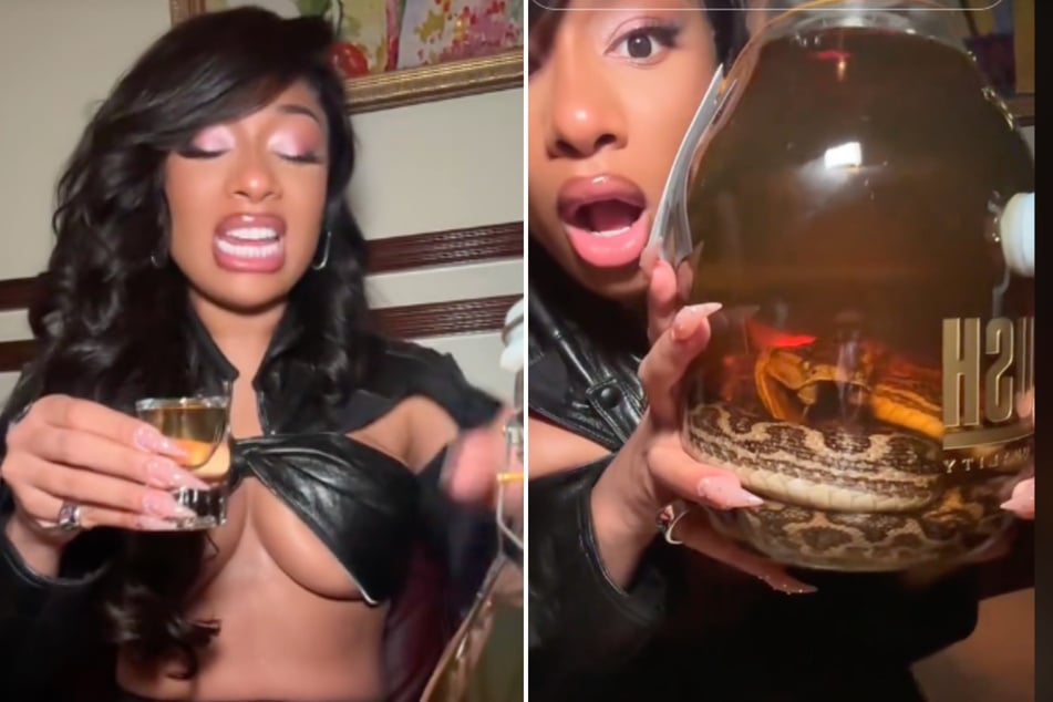 Megan Thee Stallion dives into daring "dang snake drink" on TikTok: "Is this gonna kill me?"
