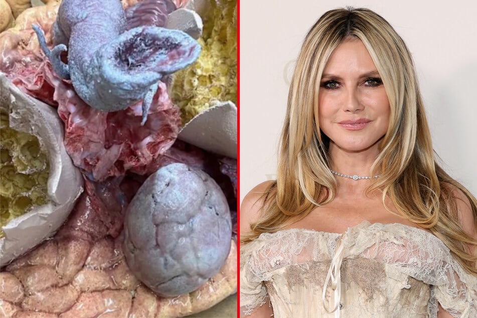 Heidi Klum has dropped a teasing – and terrifying – glance at what she's cooking up for Halloween this year.