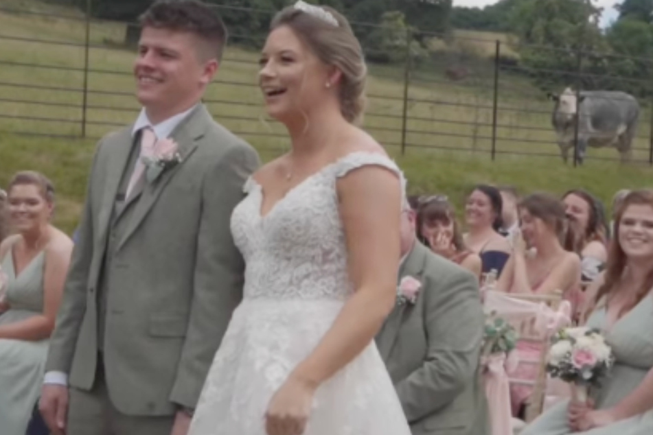 Cow crashes a couple's wedding at the most hilarious time possible!