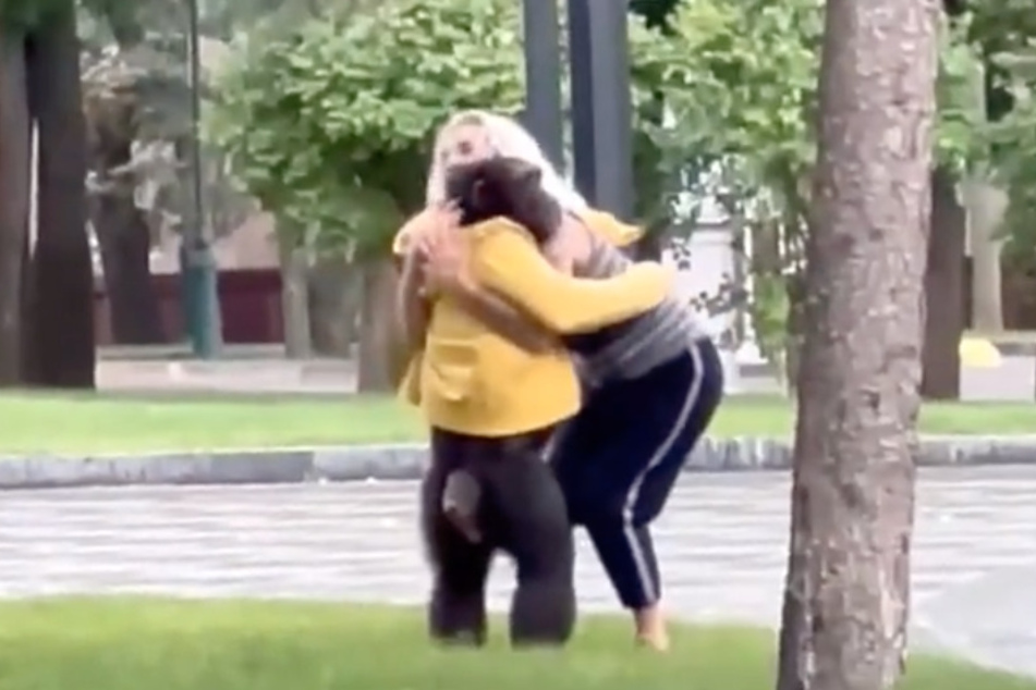 The moment Chichi, dressed in her handler's jacket, gets a hug.