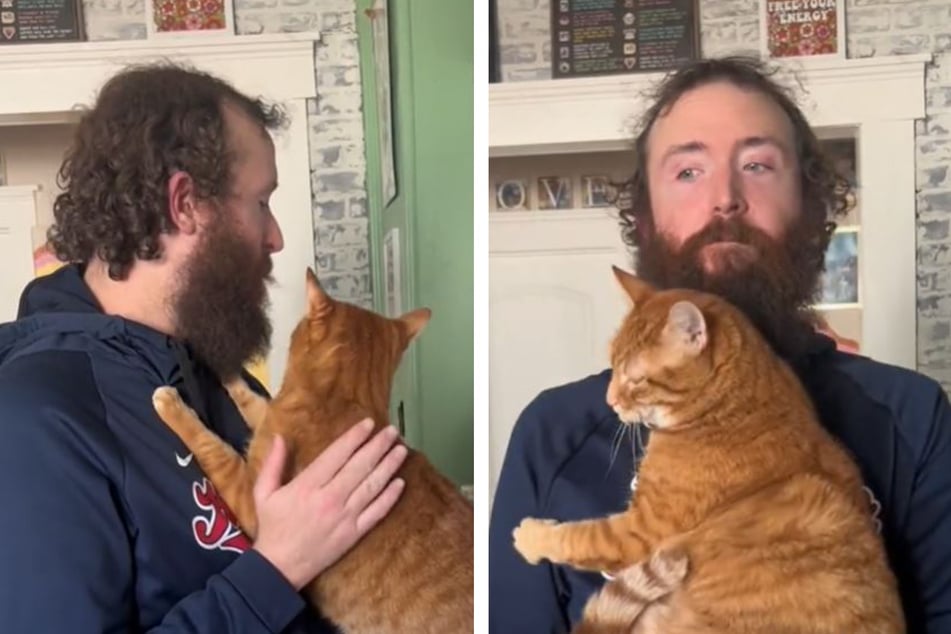 Cat holds a grudge over his owner's beard shave and TikTok can't stop laughing