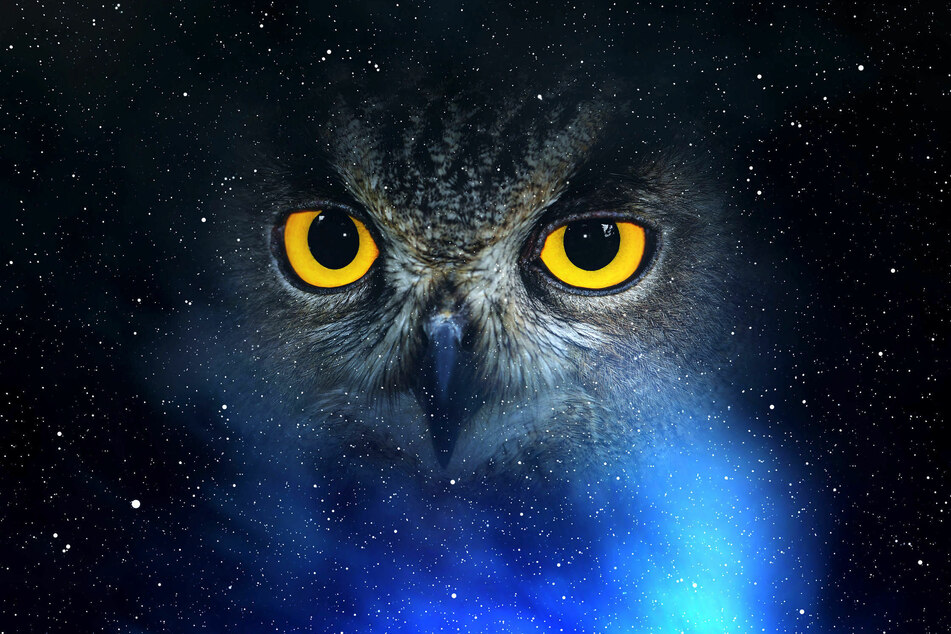 Today's horoscope: free horoscope for November 15, 2020