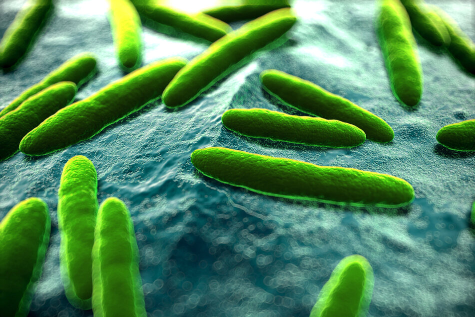 Green heavy industry: Little microbes can make a big difference for a carbon negative world