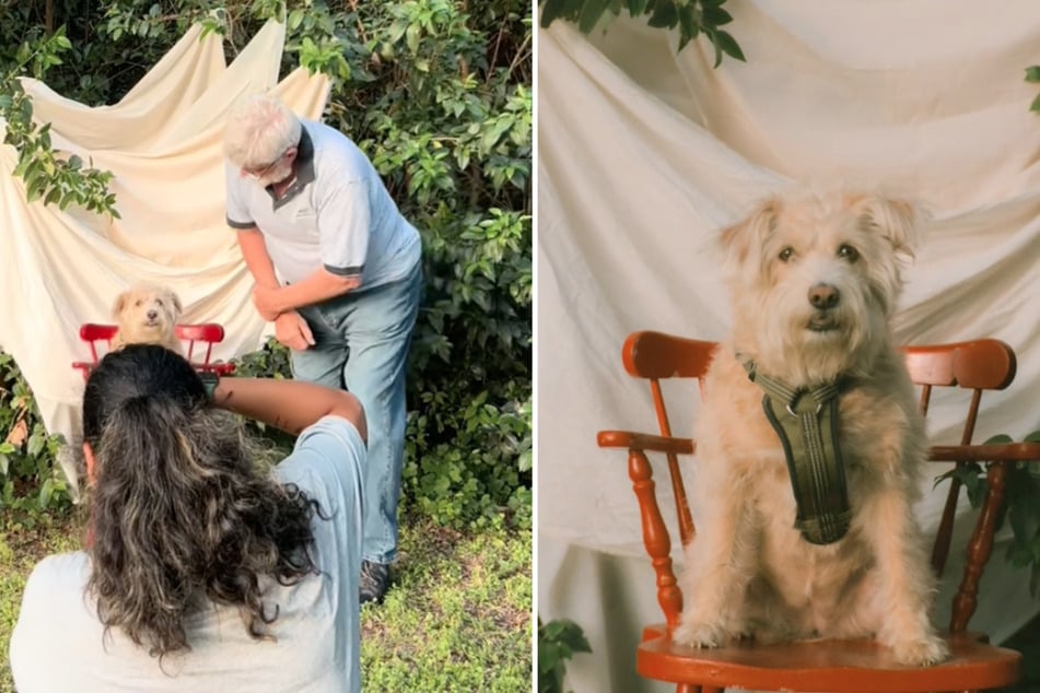 Photographer offers free photo shoot – then a dog makes surprise magic!