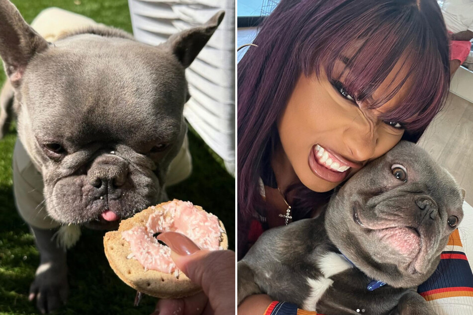 Megan Thee Stallion asks the internet to wish her "son" a happy birthday!