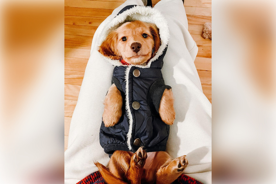 Sophie and her button-up jacket are a huge hit!