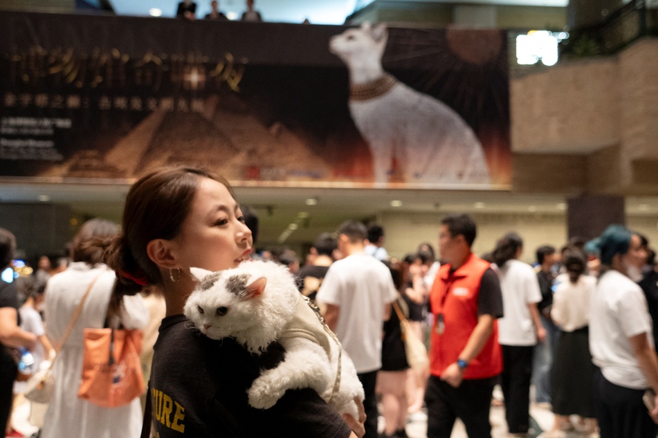 A woman carries her cat while attending cat night at the Shanghai Museum in Shanghai on Saturday, July 27, 2024.
