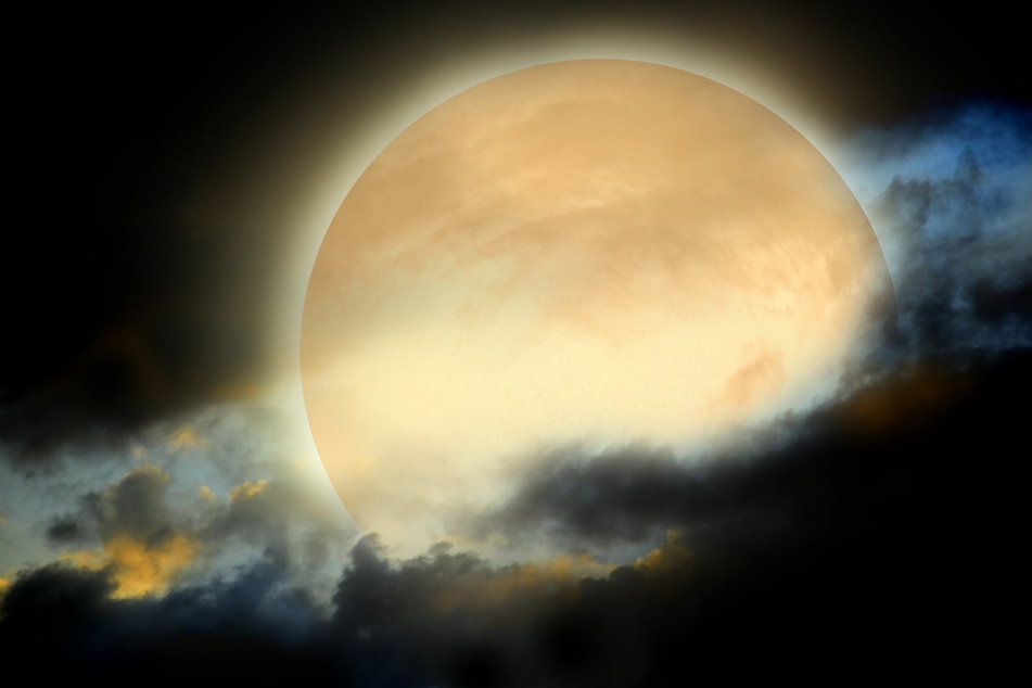 Today's horoscope: free horoscope for February 10, 2021